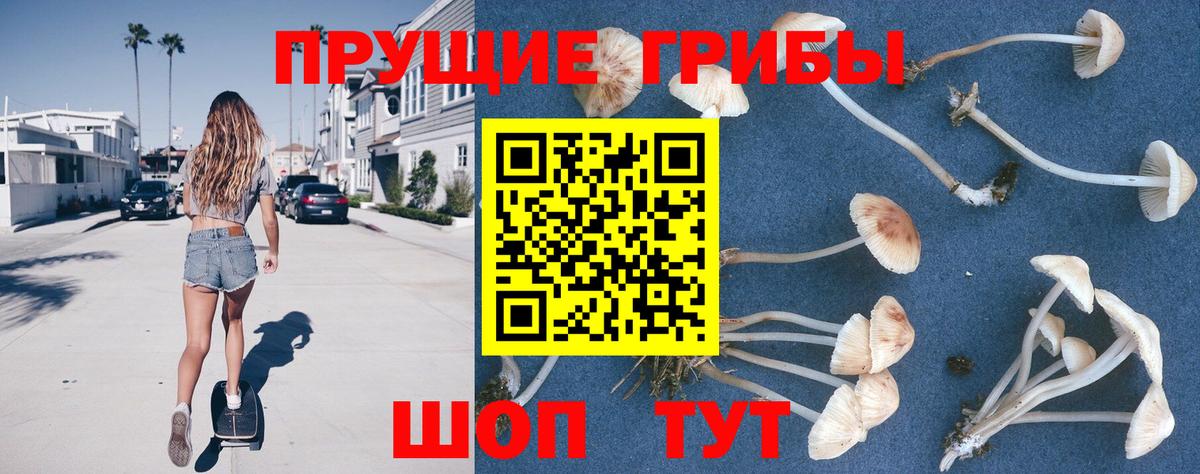 Псилоцибиновые грибы мицелий  Вход с VPN  Ейск 